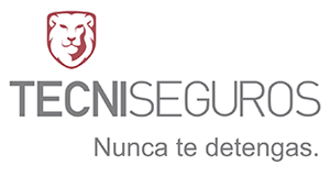 Logo Tecniseguros